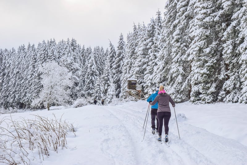 Cross-Country Skiing Adventure
